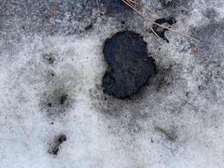 Photo of snow that has melted away in the shape of a heart, revealing the black asphalt underneath
